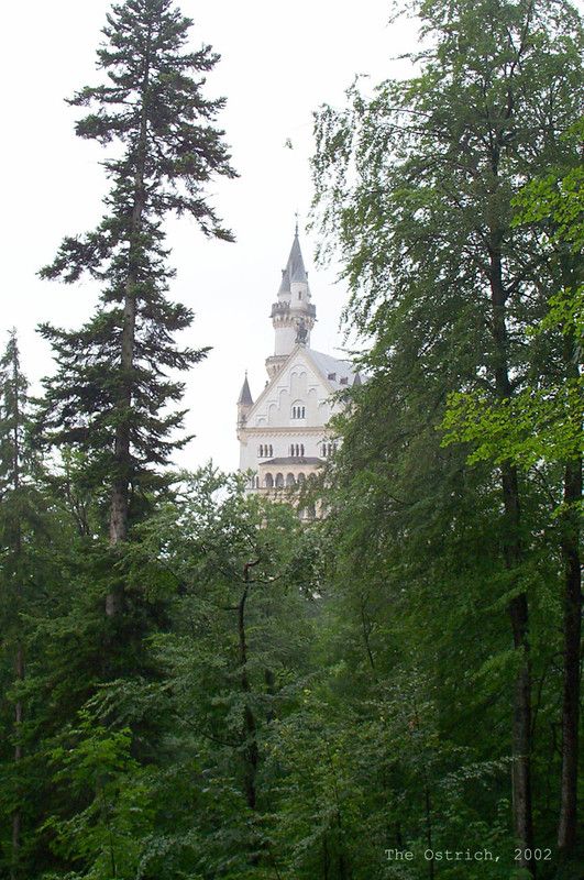 Images Neuschwanstein